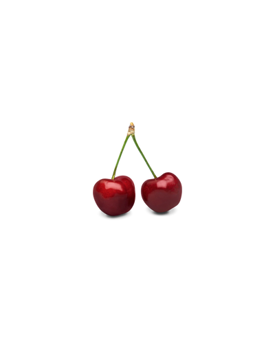 Cerise griotte