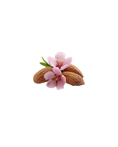 Fleur d'amande